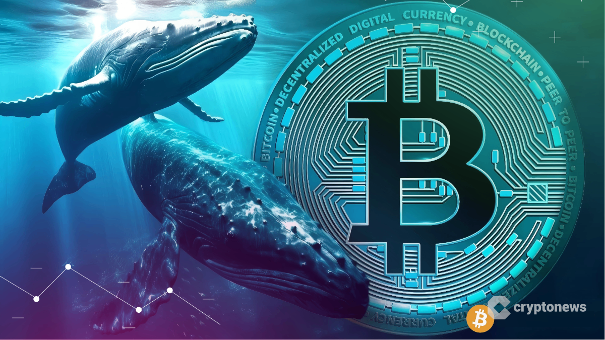 BTC Miner